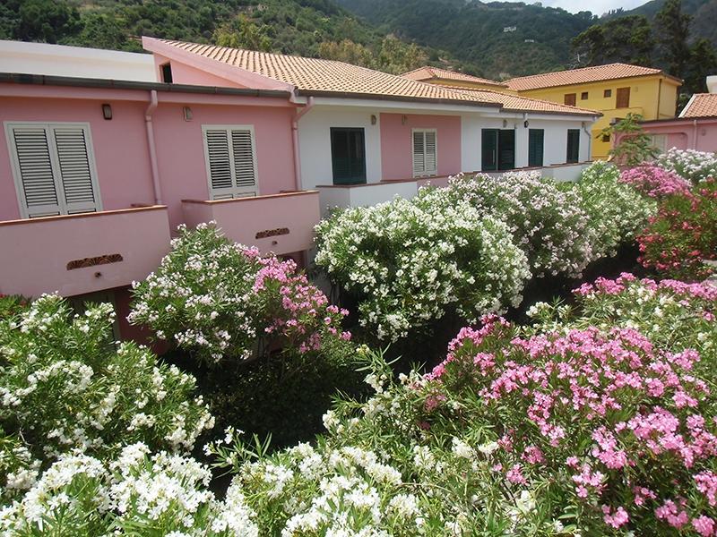 Villaggio Hotel Club Calanovellamare Piraino Bagian luar foto