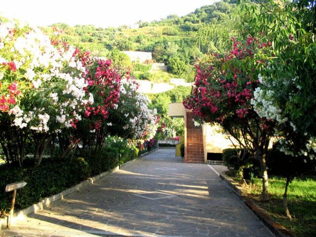 Villaggio Hotel Club Calanovellamare Piraino Bagian luar foto