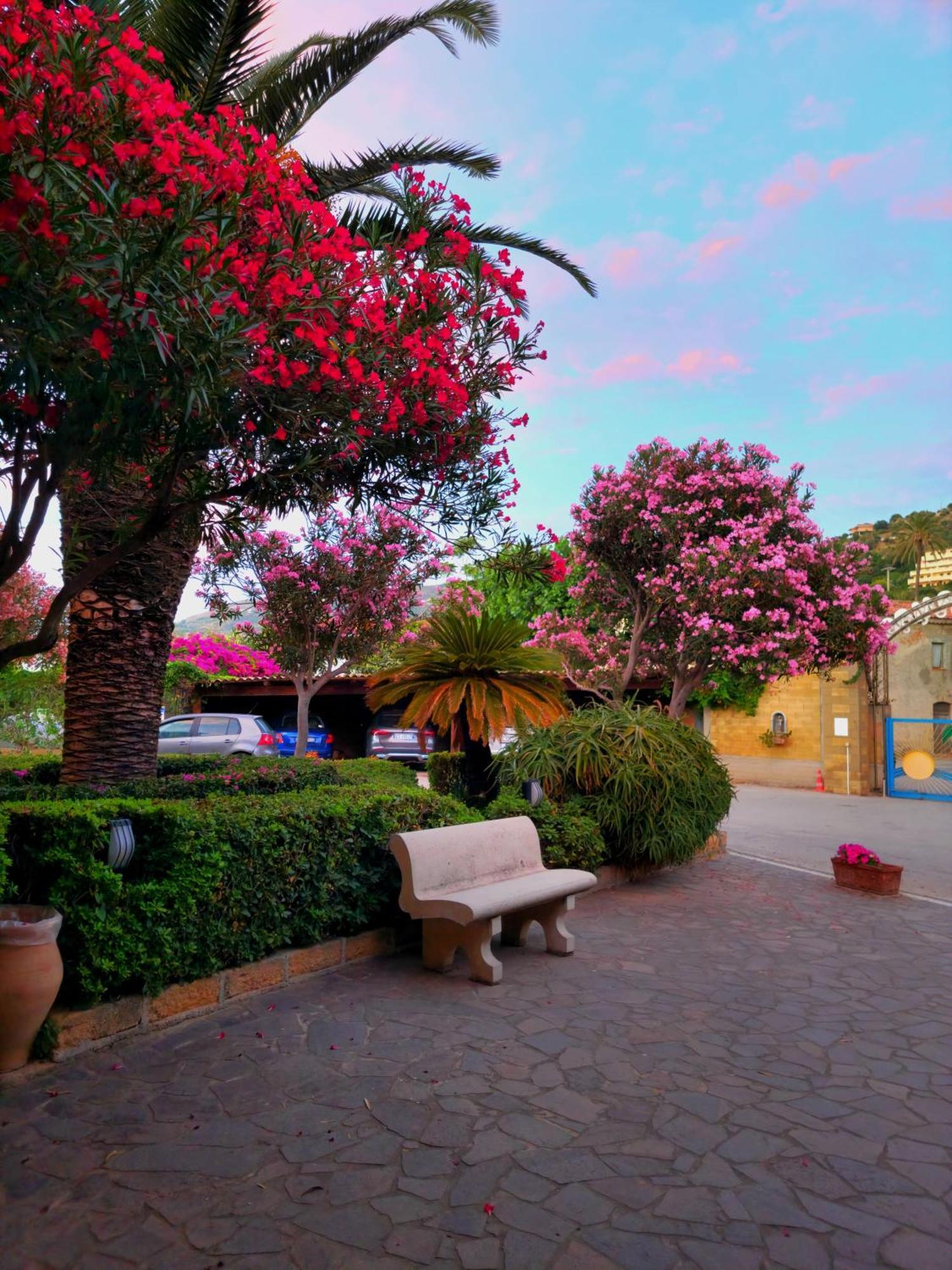 Villaggio Hotel Club Calanovellamare Piraino Bagian luar foto